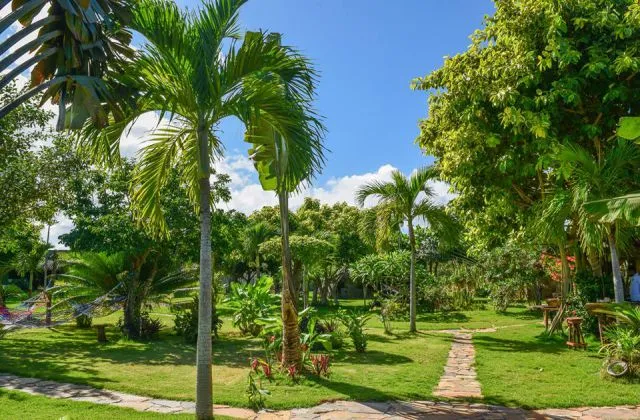 Chalet Tropical Village Las Galeras Samana garden